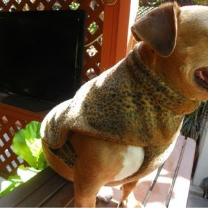 Cheetah Dog Coat Double Fleece Size Small